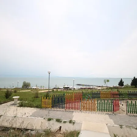 Arendoo In Palm Marina *